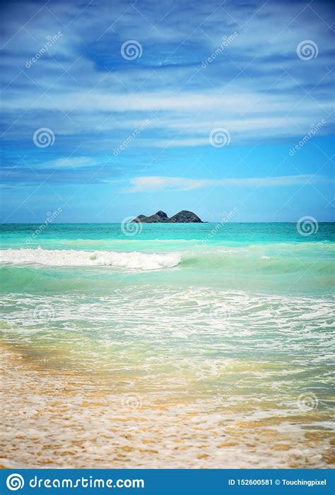 Mokulua Island Viewed from the WaimÄ nalo Beach of Hawaii Stock Image