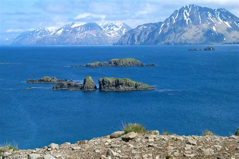 6 Reasons Why Alaskas Aleutian Islands Are A Hot Spot For Sea Life