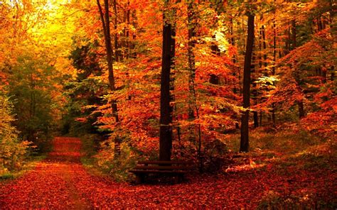Aesthetic Autumn Wallpapers Wallpaper Cave D46