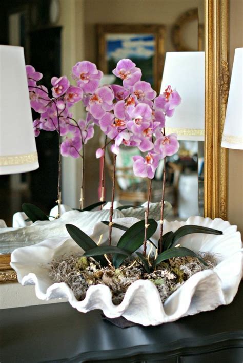 The Most Beautiful Orchid Species Phalaenopsis Flowers Cymbidium