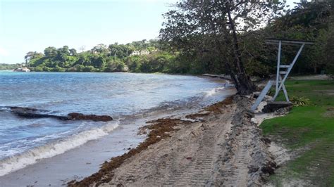 Beaches Of Jamaica