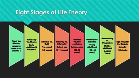 Eriksons Eight Stages Of Life Theory