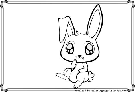 realistic bunny coloring pages printable bmp