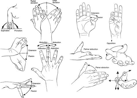 Acute Wrist And Hand Injuries Musculoskeletal Key
