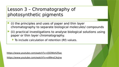 Chromatography Of Photosynthetic Pigments Photosynthesis A Level Ocr