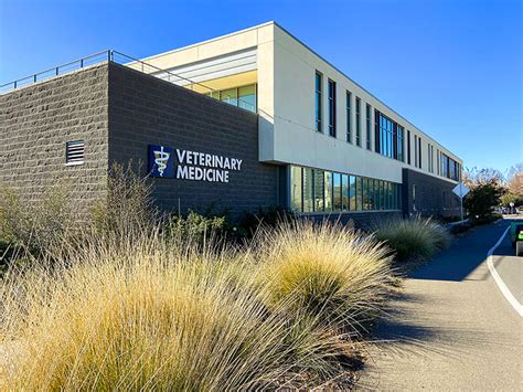 Top Veterinary Schools In California Martlabpro