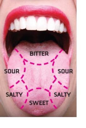If you have swollen palate, you need to address the problem quickly to protect the sense of taste (and satisfaction to be discovered in quality food). Pin by Cindy Overstreet on fun science , early education ...