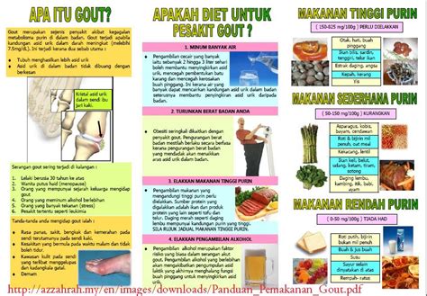 Some of the most common factors include drinking too much alcohol, taking diuretic medications or. CeritaKu CeritaMu: Makanan yang menyebabkan Gout