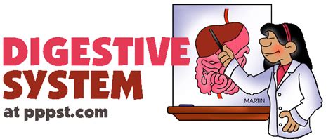 Free Powerpoint Presentations About The Human Digestive System For Kids