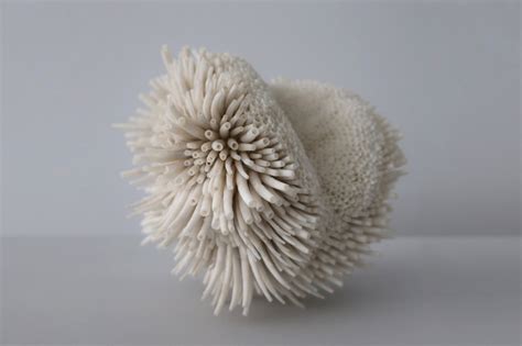 Mesmerizing Seashell Sculptures By Rowan Mersh The Creative Blog