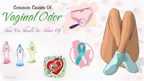 top 14 common causes of vaginal odor that you should be aware of