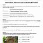 Inferences And Observations Worksheet