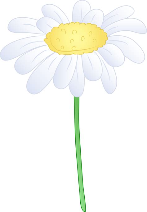 Single White Daisy Flower Free Clip Art Clipartix