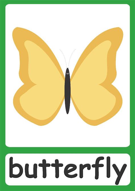 Bugs Flashcards Simple Colorful Insect Flashcards For Your Classroom