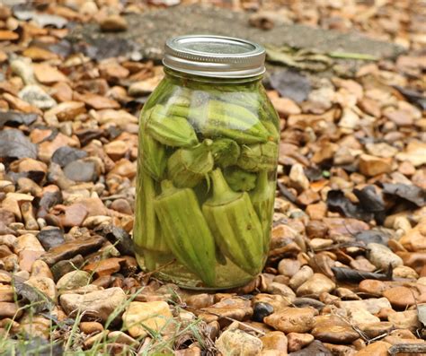 Cooked fresh into a pickle, like this, it's not slimy. Easy Refrigerator Pickled Okra
