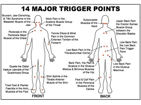 Balance In Motion Santa Barbara Massage Therapy 10 Major Trigger