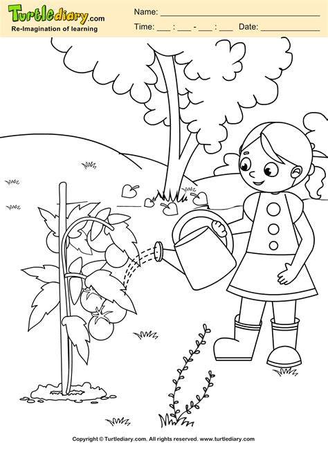 Winnie the pooh coloring pages are such a sweet way for your little ones to enjoy their favorite cartoon characters. Water Plant Coloring Sheet | Turtle Diary