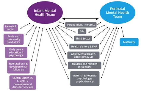 Appendix 1 Perinatal And Infant Mental Health Programme Board 2020
