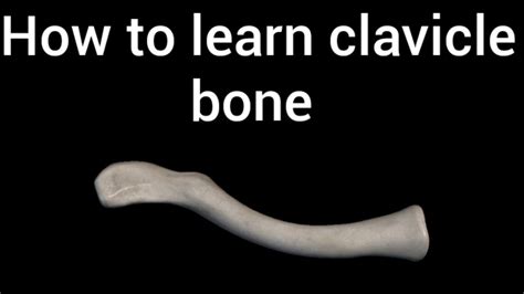 How To Learn Clavicle Boneclavicle Bone Anatomy Youtube