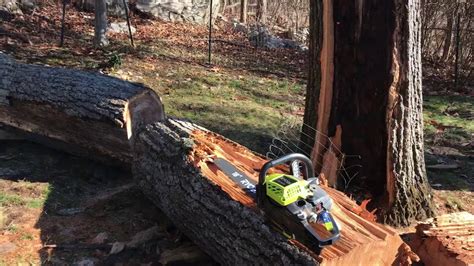 Cutting A Huge Fallen Tree With A Small Chainsaw Youtube