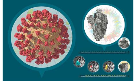 Release Of 216 Sars Cov 2 Genomes Provides Insights Into Transmission