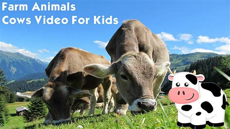 Watch Farm Animals Cows Video For Kids Prime Video