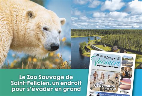Le Zoo Sauvage De Saint Félicien Un Endroit Pour Sévader En Grand