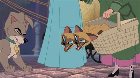 Lady And The Tramp Siamese Cats