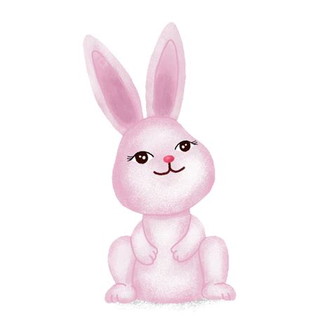 รูปคลิปการ์ตูนกระต่ายน่ารัก Png การ์ตูนสัตว์ สัตว์น่ารัก กระต่ายภาพ