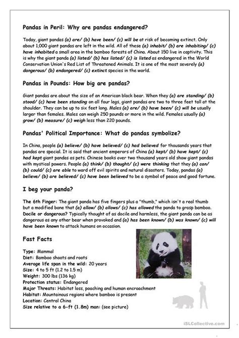 Reading 1 What Do You Know About Giant Pandas English Esl