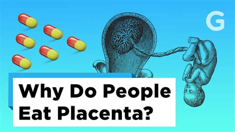 Heres The Truth About Eating Placenta