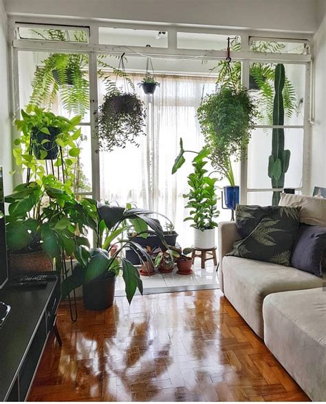 Pin By Barbarab On Jungalows House Plants Indoor House Plants Decor