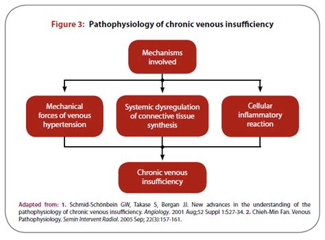 Management Of Chronic Venous Insufficiency Walter Bushnell Healthcare