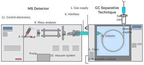 Gas Chromatography Mass Spectrometry Diagram