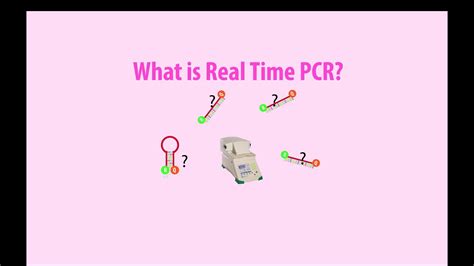 Real Time Pcr Basic Simple Animation Part 1 Intro Hd Youtube