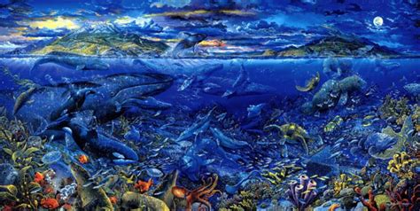 Animals Fishes Whales Tropical Underwater Water Sea