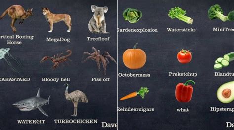 8 Funny Images Giving Better Names To Foods Animals And More