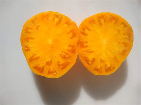 Barnes Mountain Orange