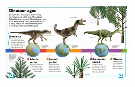 The mesozoic era and the long reign of the dinosaurs ended around 66 mya with another dramatic mass extinction in which most of the dinosaurs were wiped out. The Best Dinosaur Activity Ideas for Middle School | MY ...