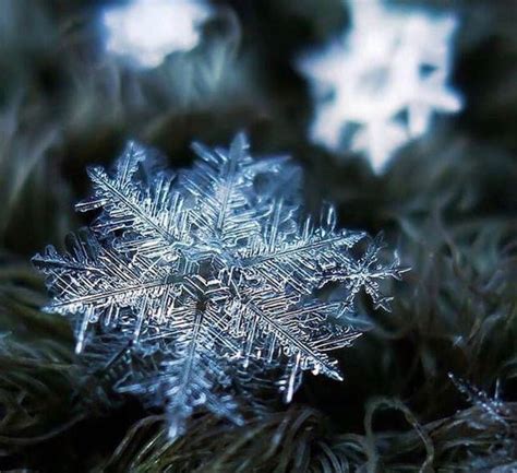 Snowflake Photography With Macro Lens Snowflake Photography
