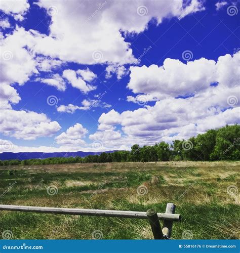 Colorado Grasslands Stock Photo Image Of Poudre Field 55816176