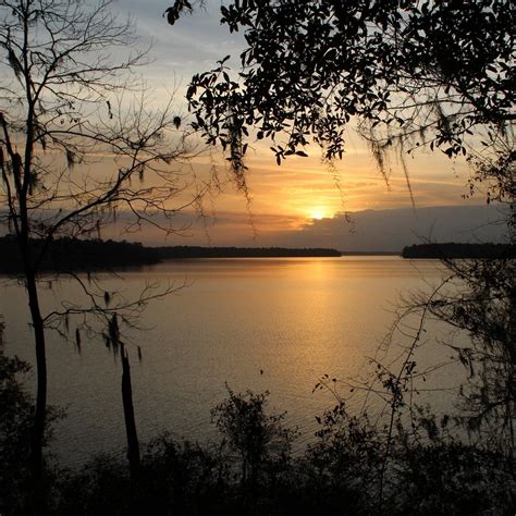 Lake Talquin State Forest Tallahassee All You Need To Know Before