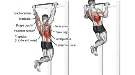 6 Must Have Pull Up Variations For Killer Lats Fitness Volt