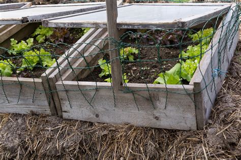 Frühbeete in allen formen und größen jetzt günstig kaufen. Frühbeet anlegen » Was kommt rein?