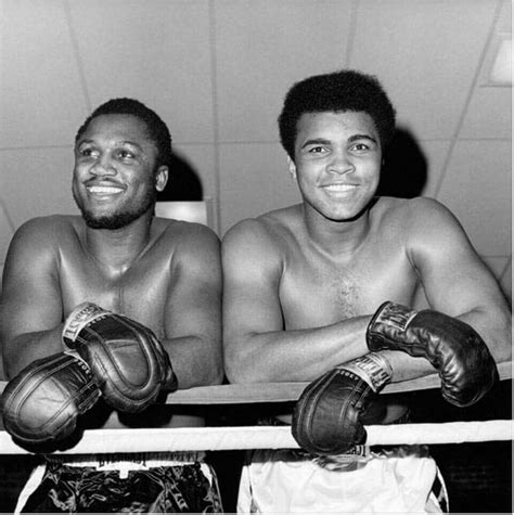 Muhammad ali current fights and historical boxing matches from the archives. Pin on My History