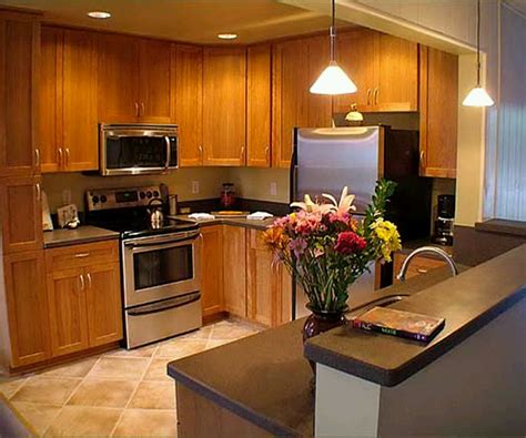Trending What Wood Kitchen Cabinets Awesome Modern Kitchen Cabinets