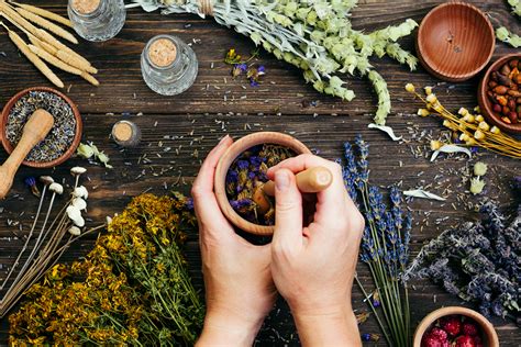 A Guide To The Top 5 Ayurvedic Herbs Ayurvedic Herbs Herbs