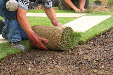 You can also lay artificial grass yourself at home and you should allow a day or two to complete the job, depending on the size of your outdoor space. Grass Planting 101 - Grass Factory & Eco Organics
