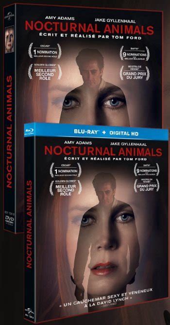 Nocturnal Animals Dispo En Blu Ray Et Dvd Le 9 Mai 2017