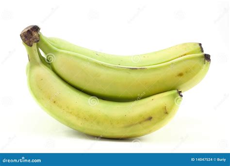 Not Ripe Banana Stock Photo Image Of Exotic Shadow 14047524